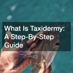 What Is Taxidermy: A Step-By-Step Guide