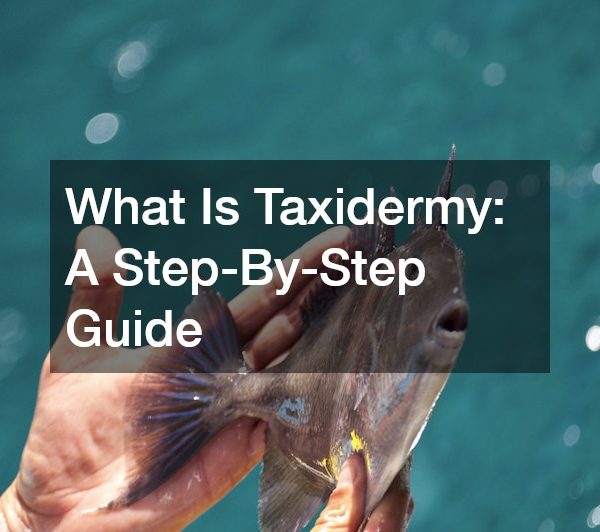 What Is Taxidermy: A Step-By-Step Guide